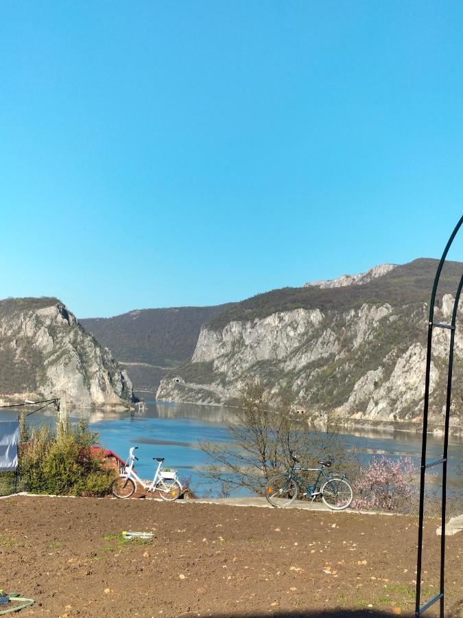 Casa De Vacanta Maga Дубова Экстерьер фото